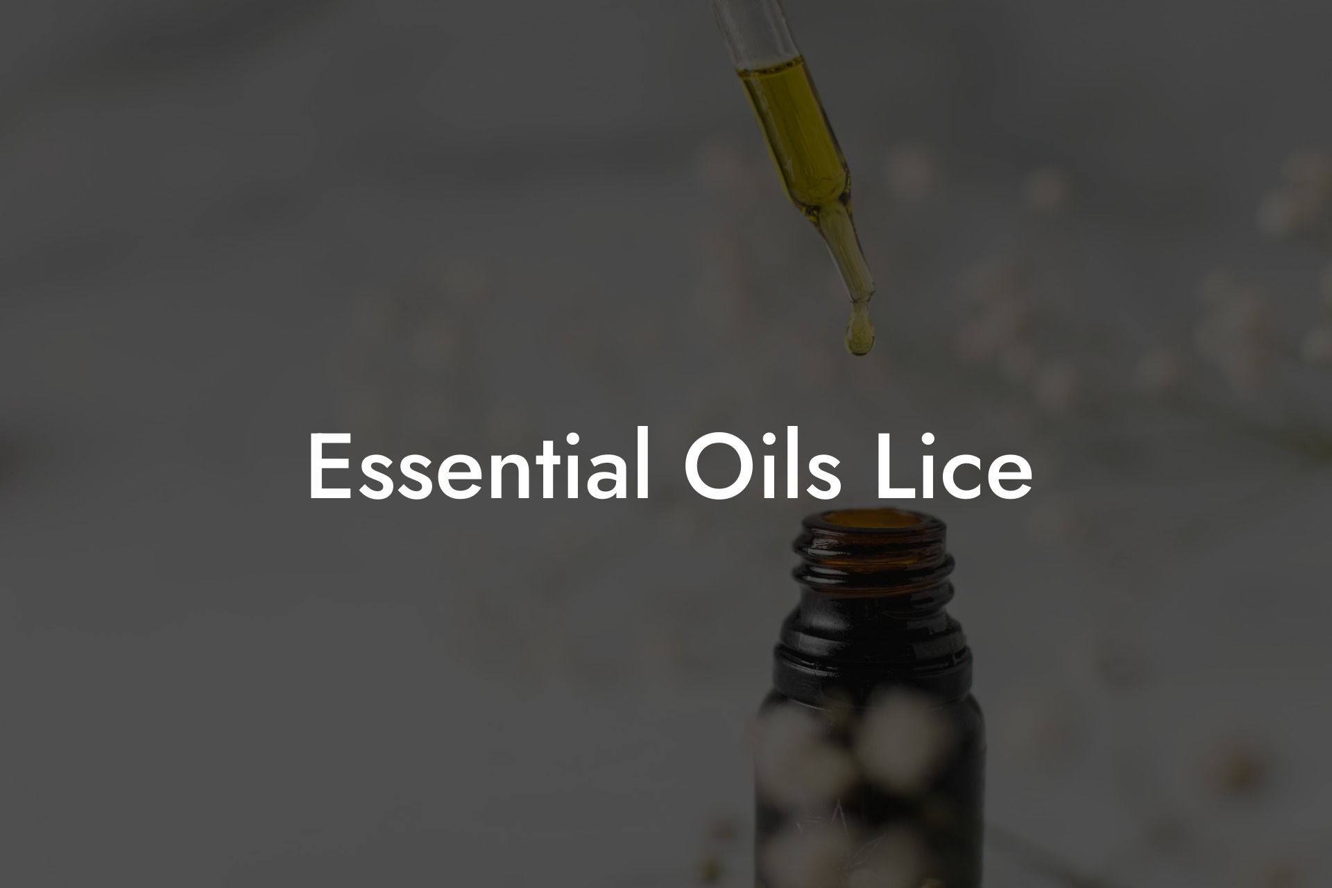 Essential Oils Lice