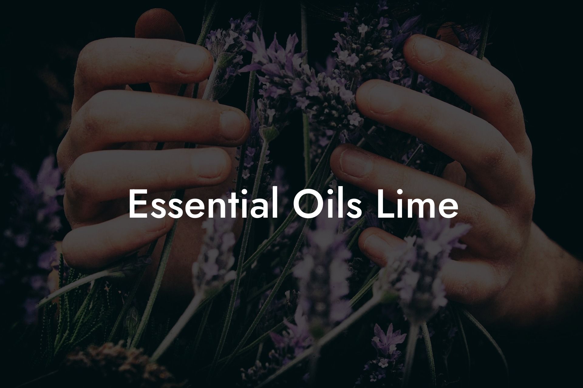 Essential Oils Lime