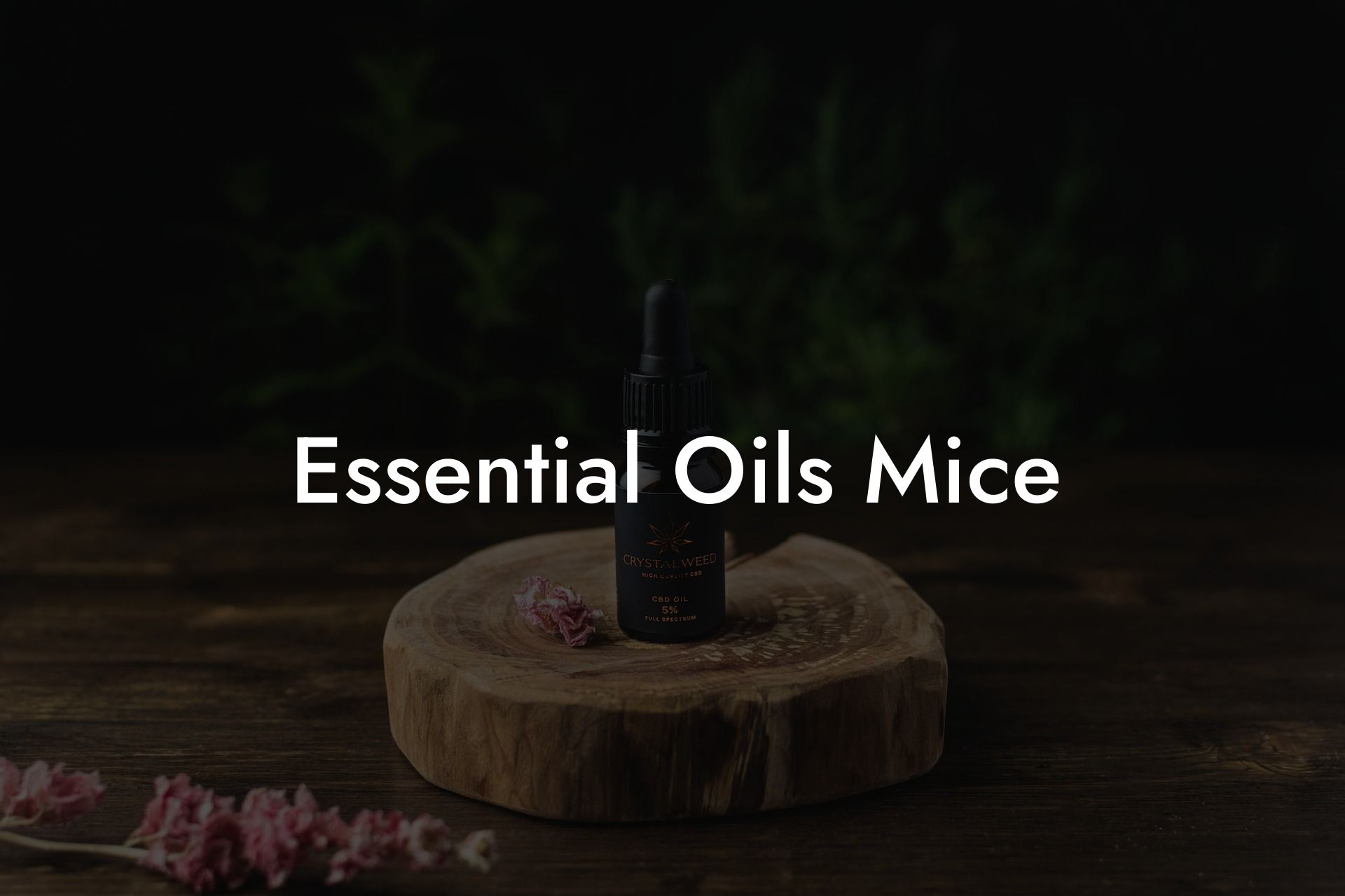 Essential Oils Mice