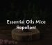 Essential Oils Mice Repellent