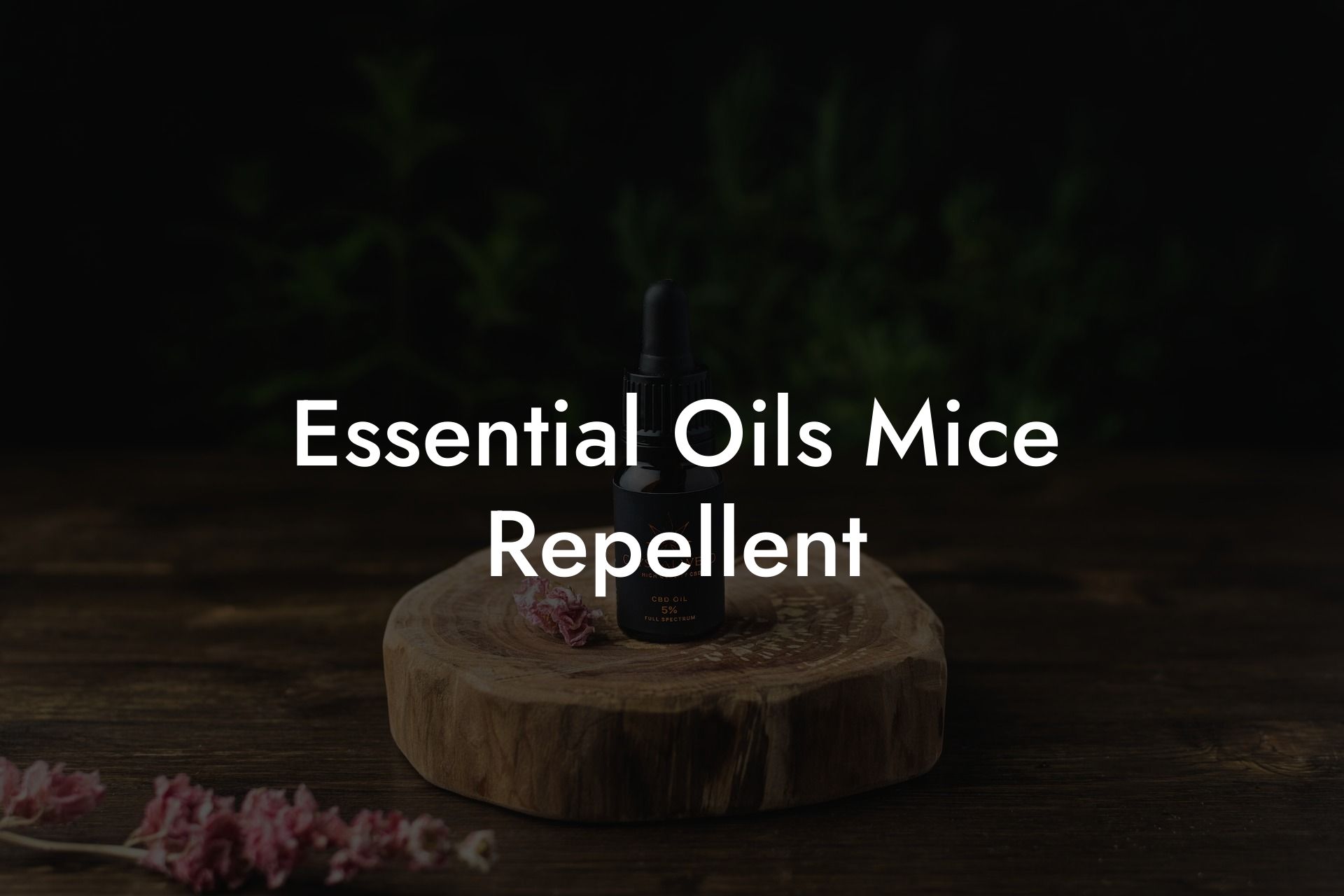 Essential Oils Mice Repellent