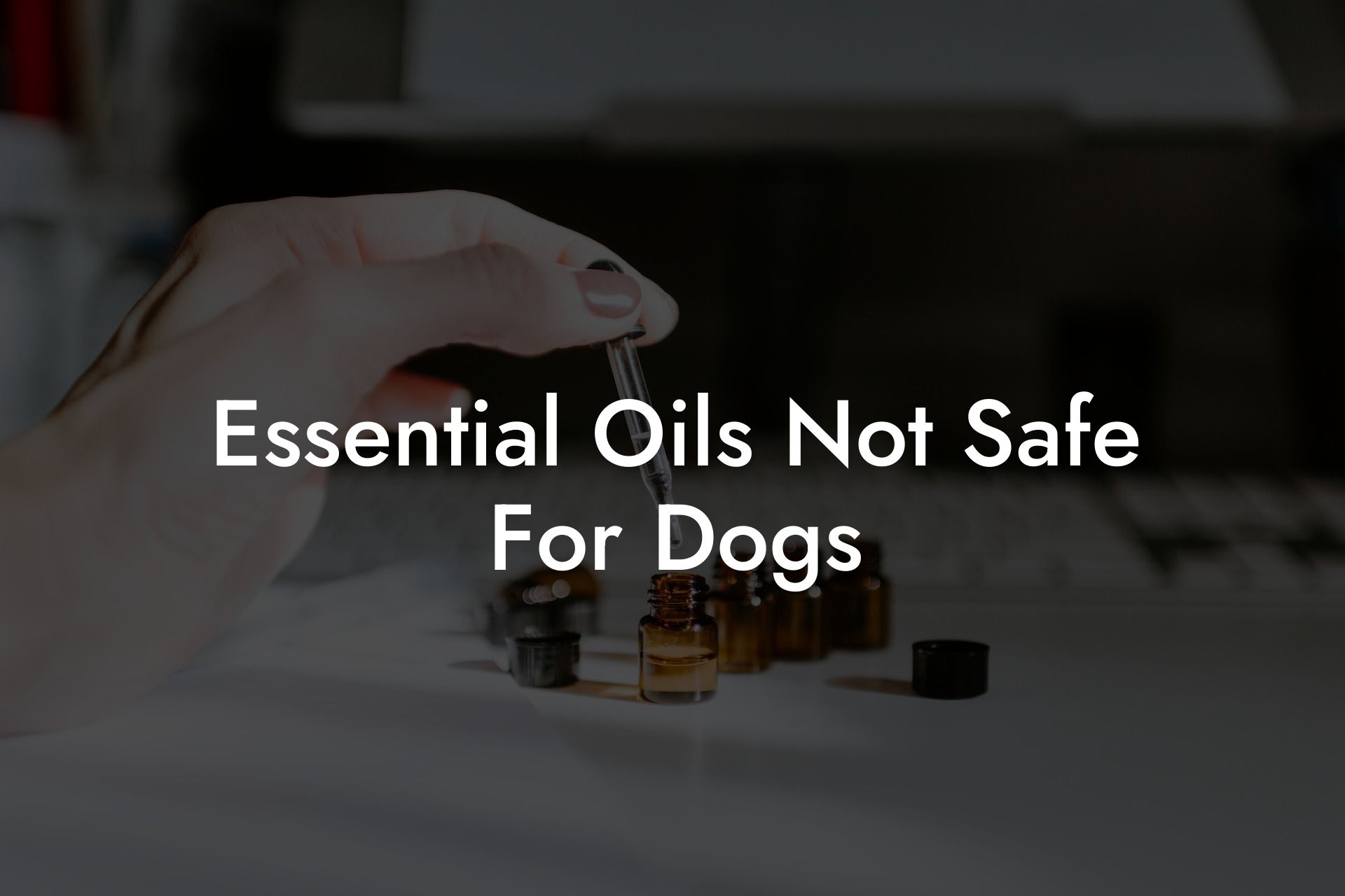 Essential Oils Not Safe For Dogs