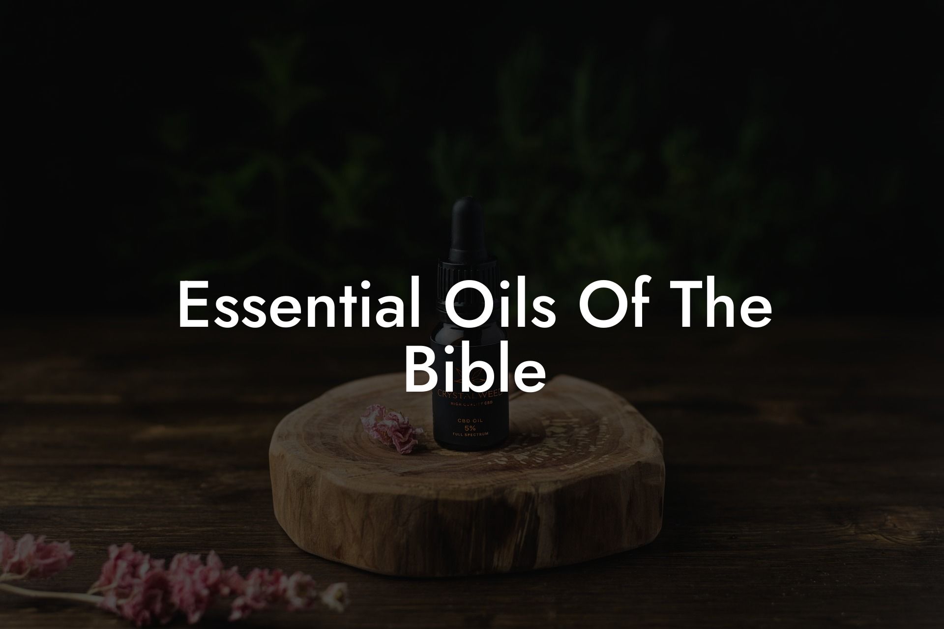 Essential Oils Of The Bible