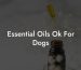 Essential Oils Ok For Dogs