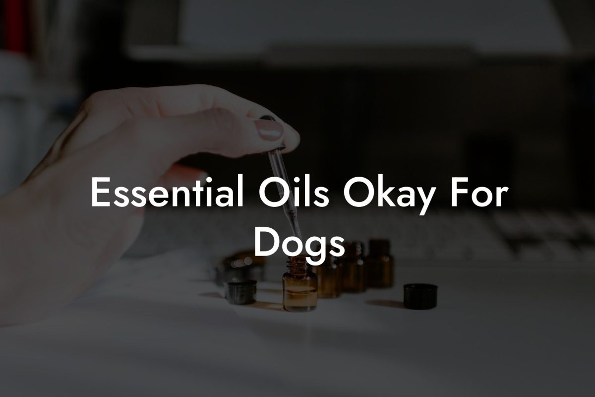 Essential Oils Okay For Dogs