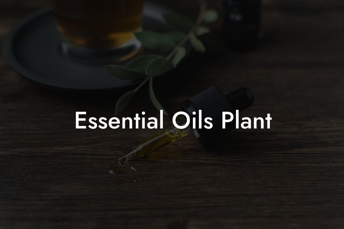 Essential Oils Plant