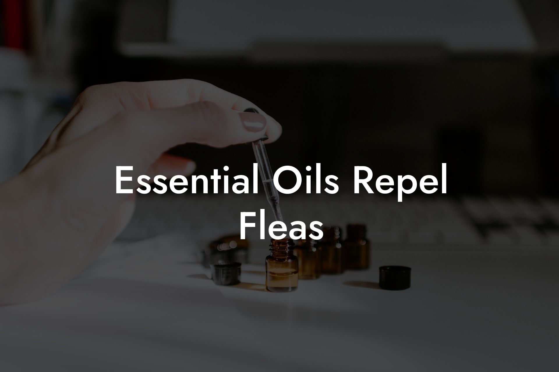 Essential Oils Repel Fleas