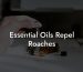 Essential Oils Repel Roaches