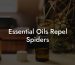 Essential Oils Repel Spiders