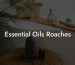 Essential Oils Roaches