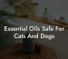 Essential Oils Safe For Cats And Dogs