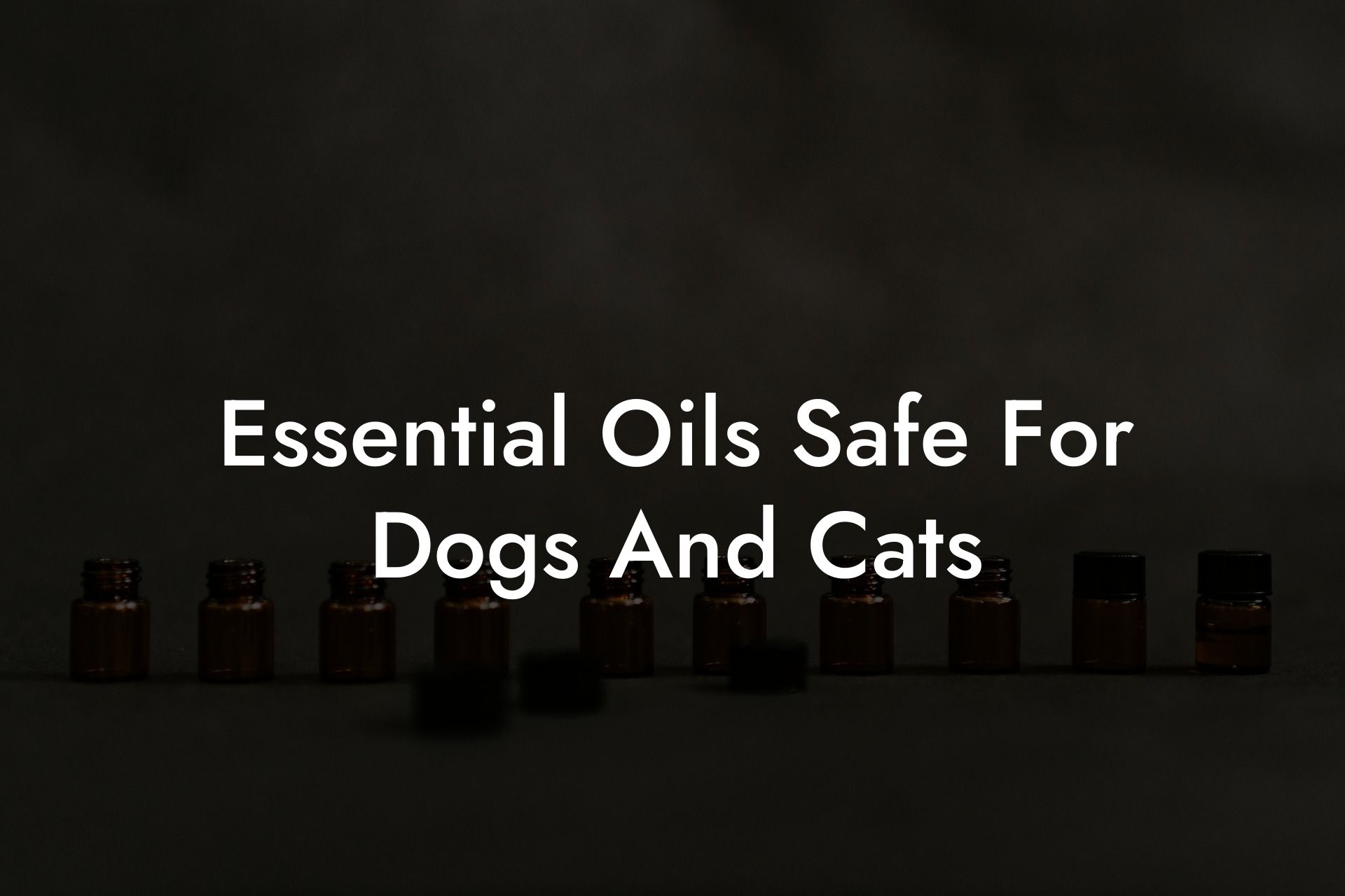 Essential Oils Safe For Dogs And Cats