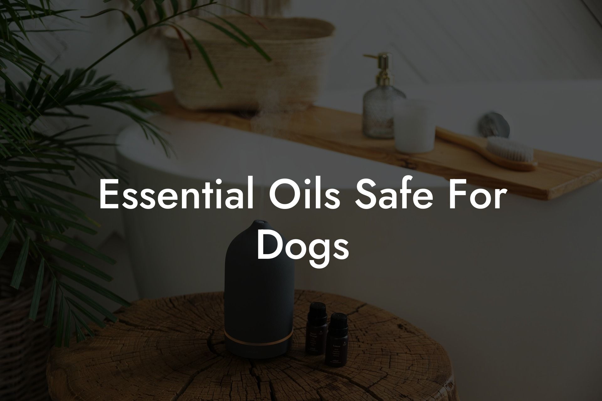 Essential Oils Safe For Dogs