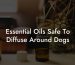 Essential Oils Safe To Diffuse Around Dogs