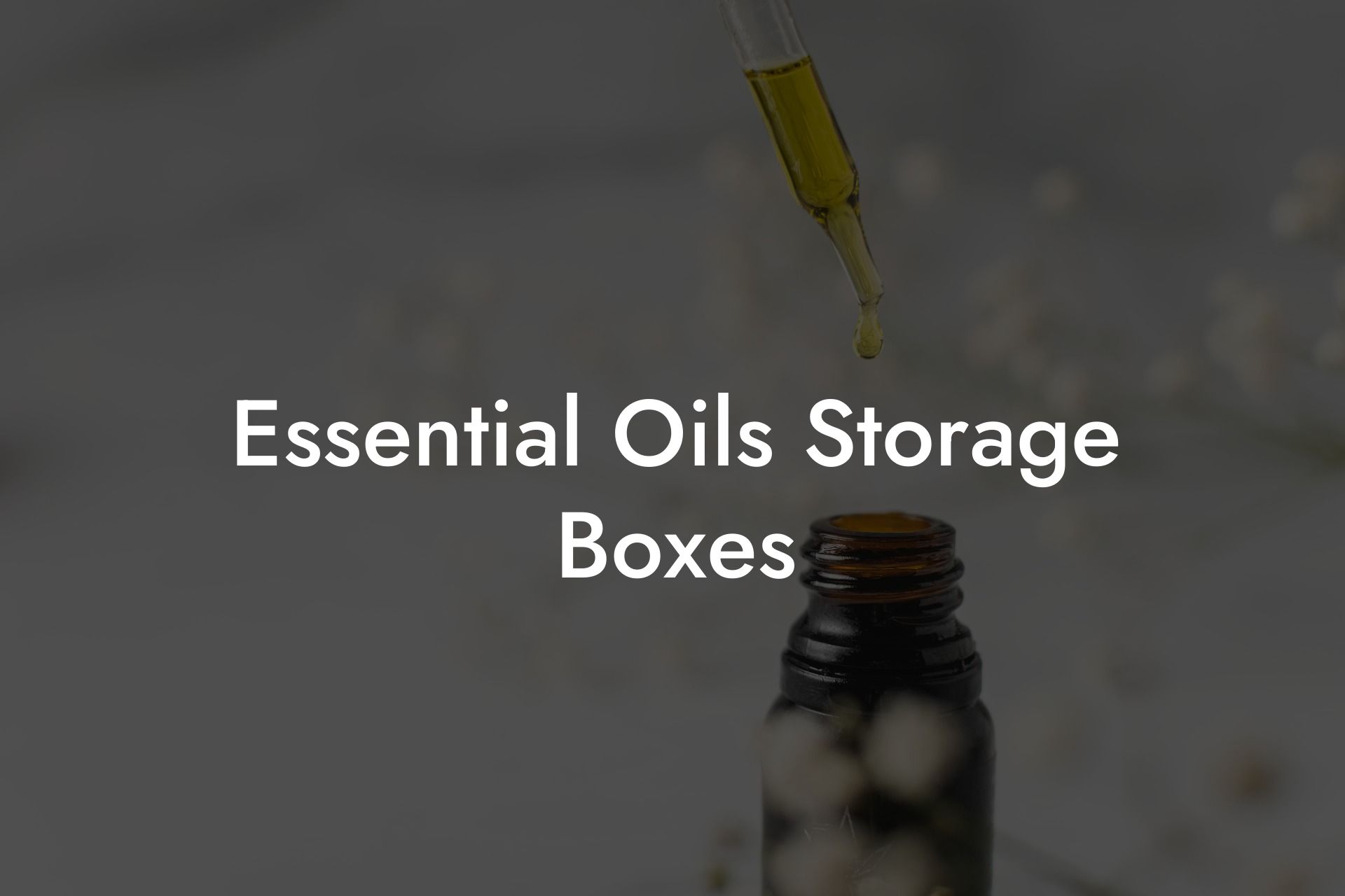 Essential Oils Storage Boxes