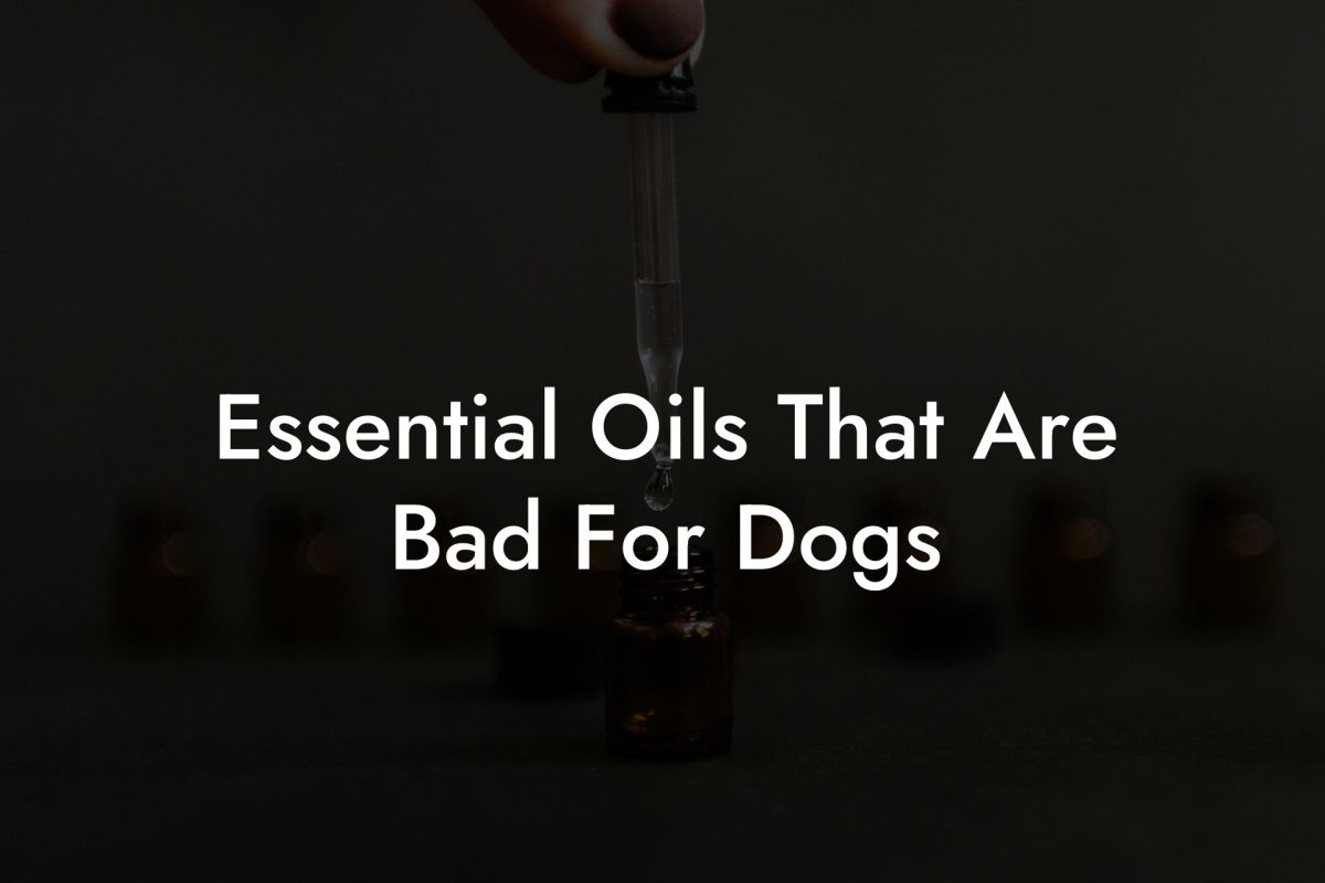 Essential Oils That Are Bad For Dogs