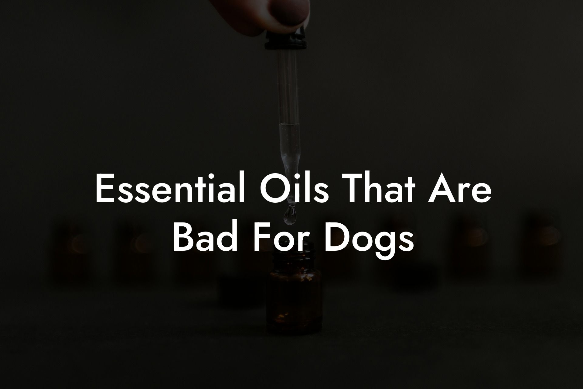 Essential Oils That Are Bad For Dogs