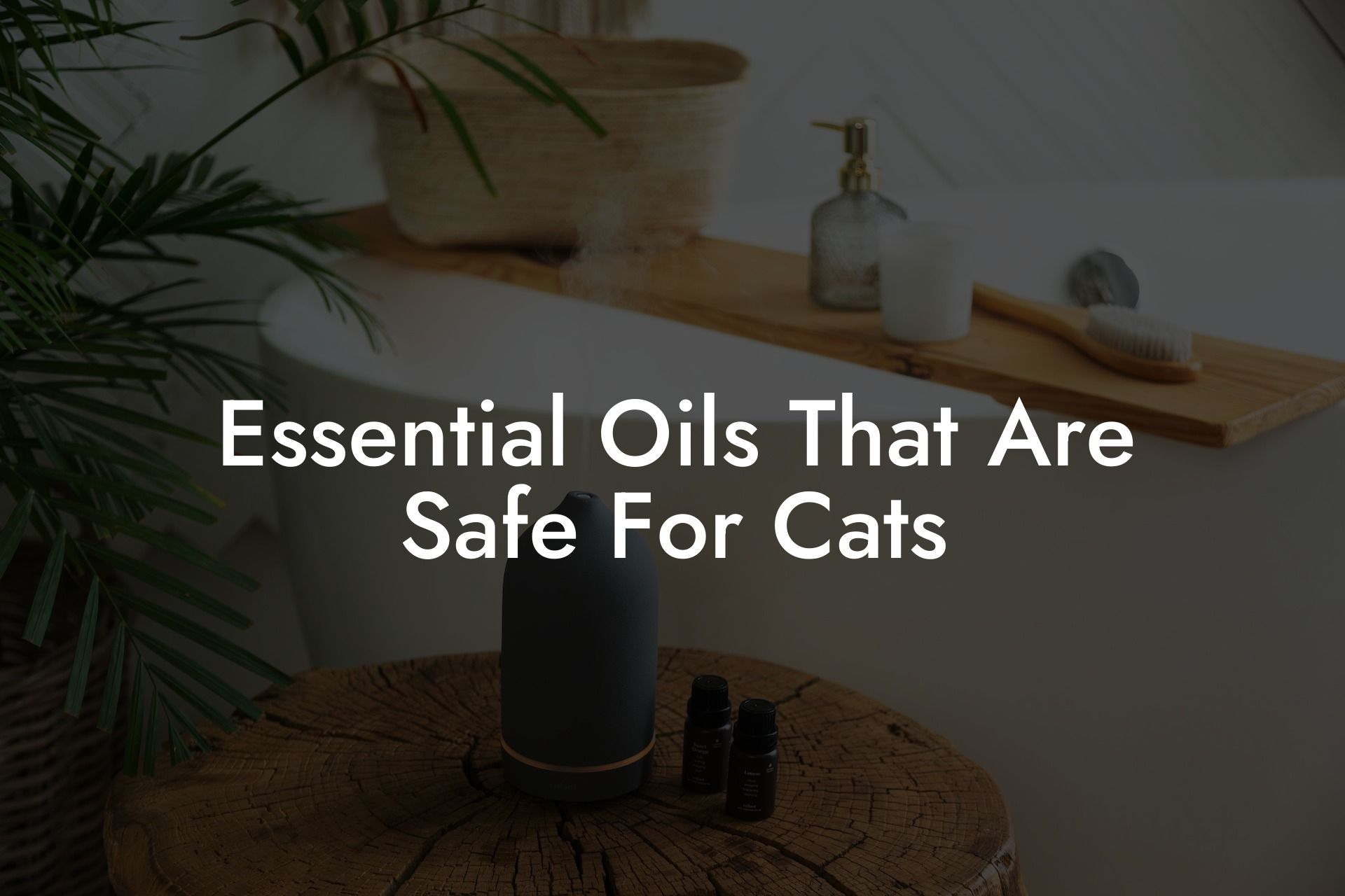 Essential Oils That Are Safe For Cats