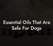 Essential Oils That Are Safe For Dogs