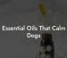 Essential Oils That Calm Dogs