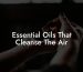 Essential Oils That Cleanse The Air