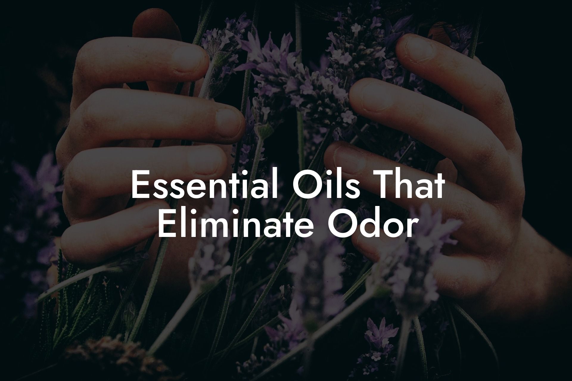 Essential Oils That Eliminate Odor