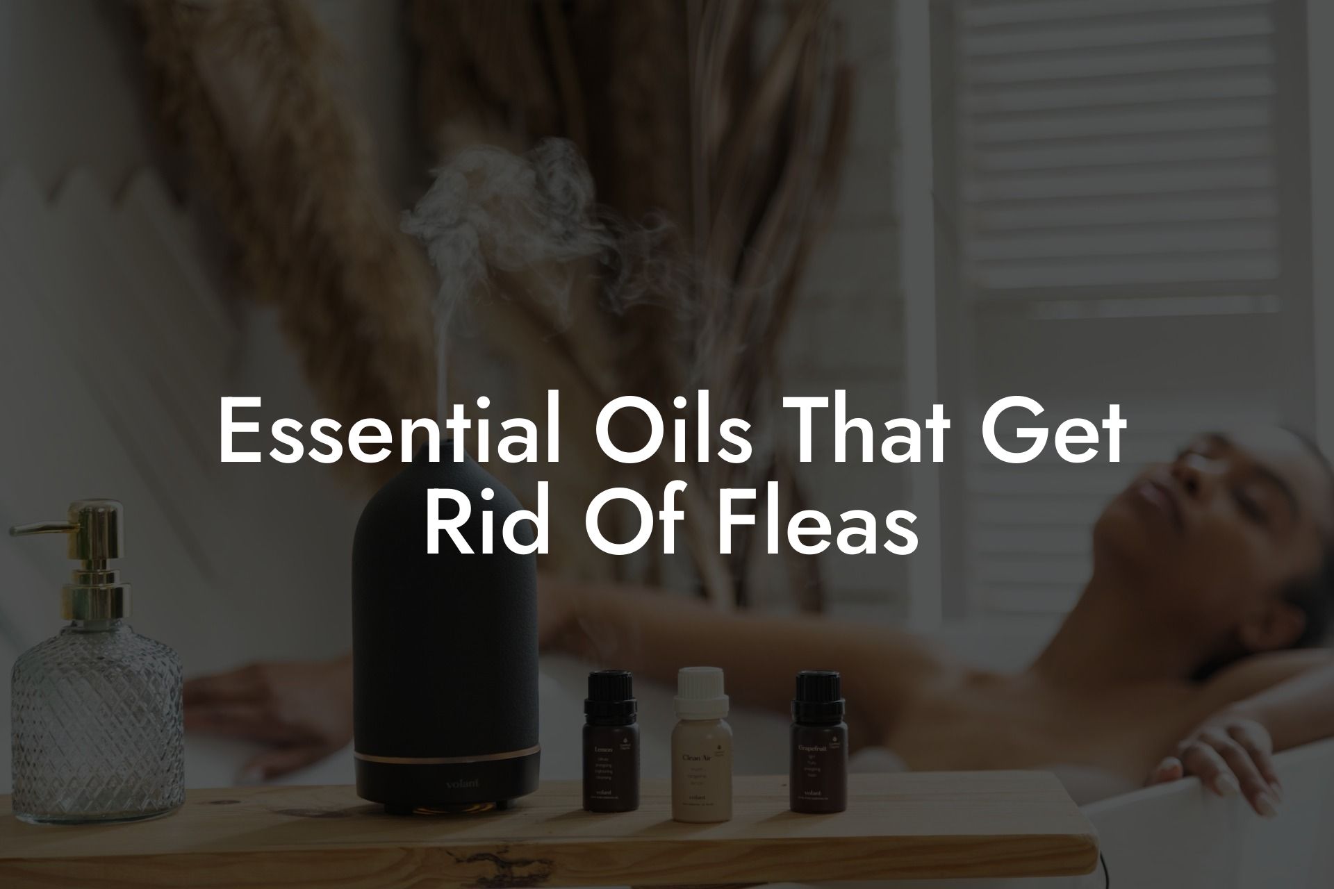 Essential Oils That Get Rid Of Fleas