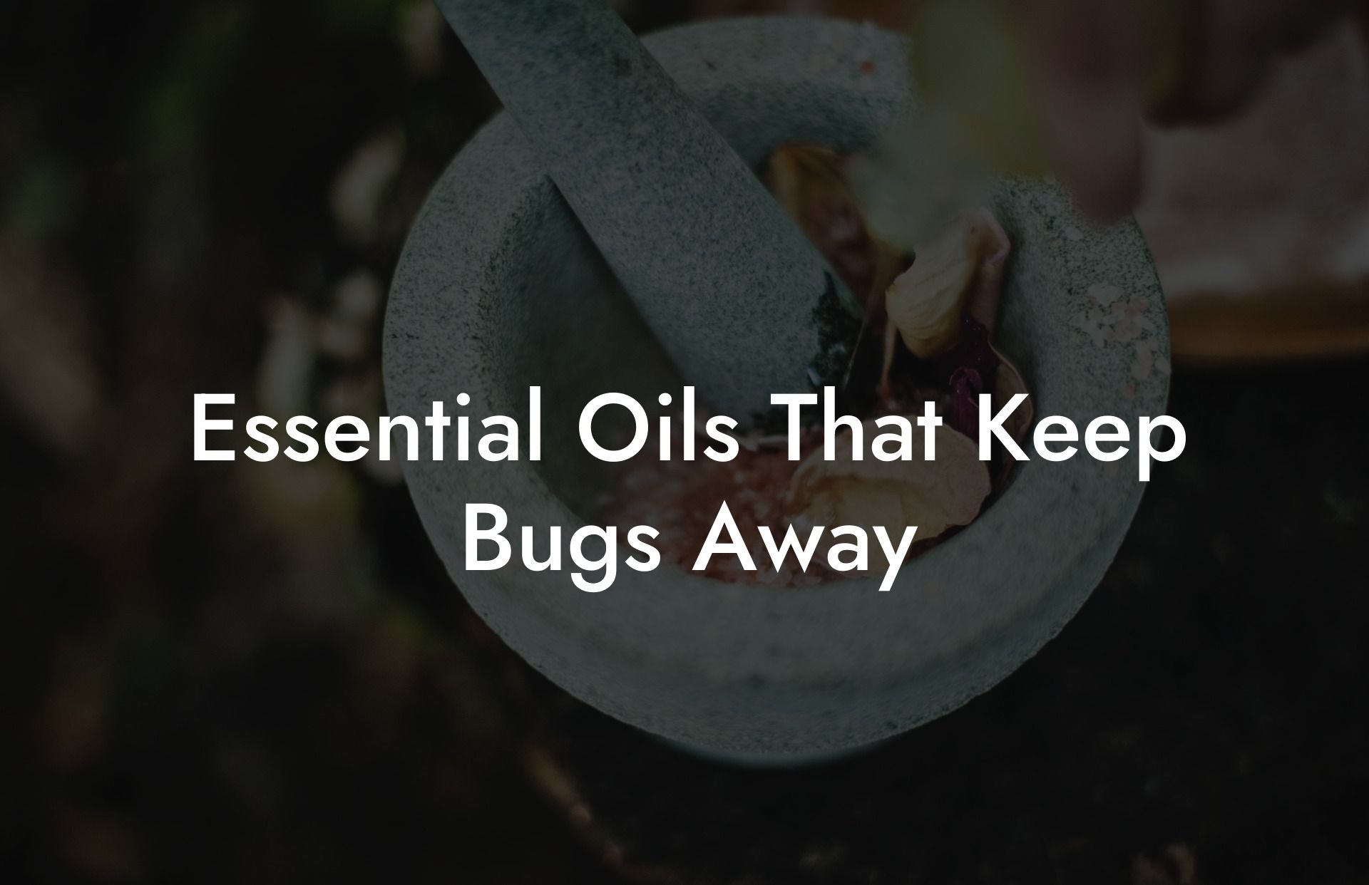 Essential Oils That Keep Bugs Away