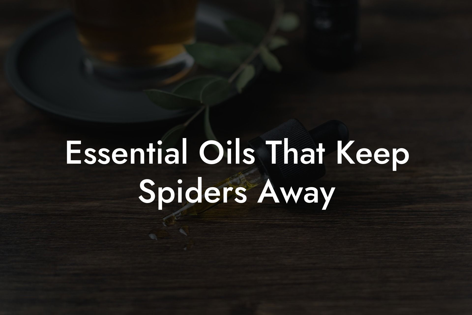 Essential Oils That Keep Spiders Away