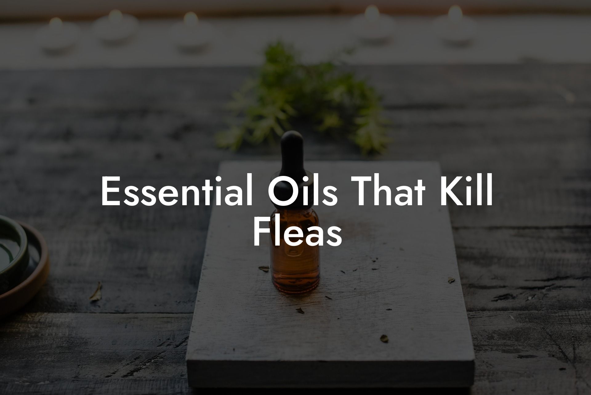Essential Oils That Kill Fleas