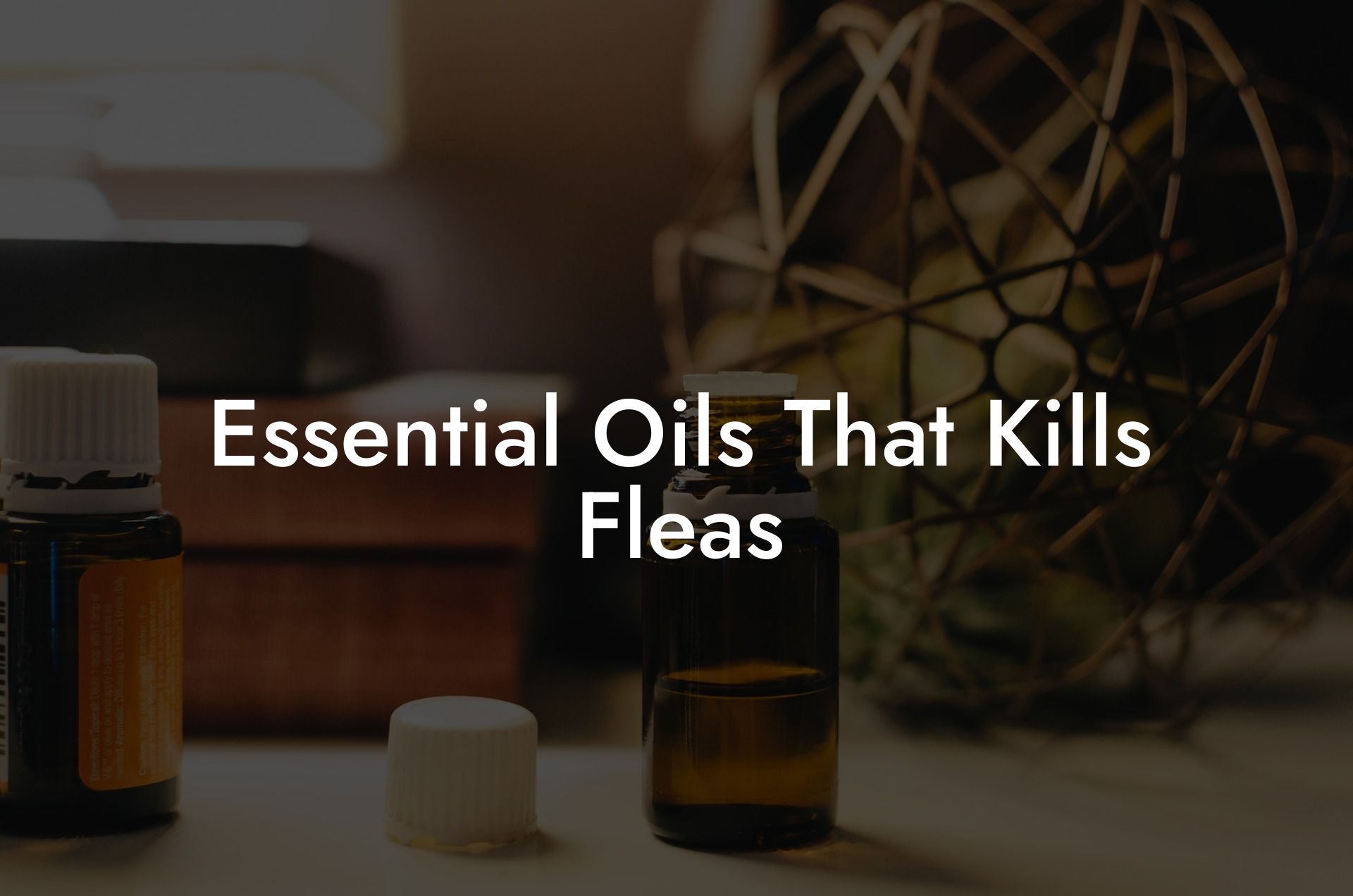 Essential Oils That Kills Fleas