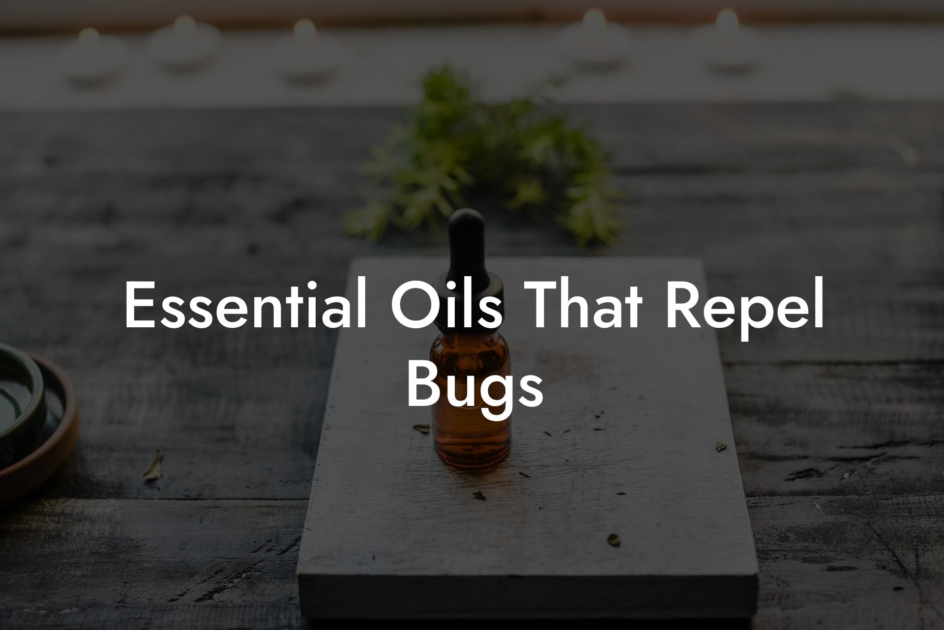 Essential Oils That Repel Bugs
