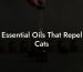 Essential Oils That Repel Cats