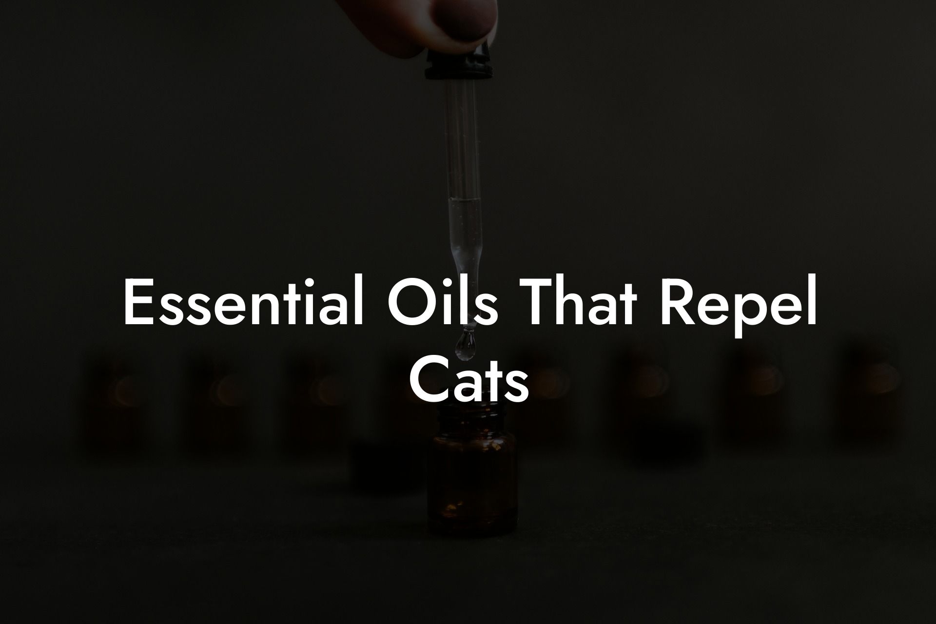 Essential Oils That Repel Cats