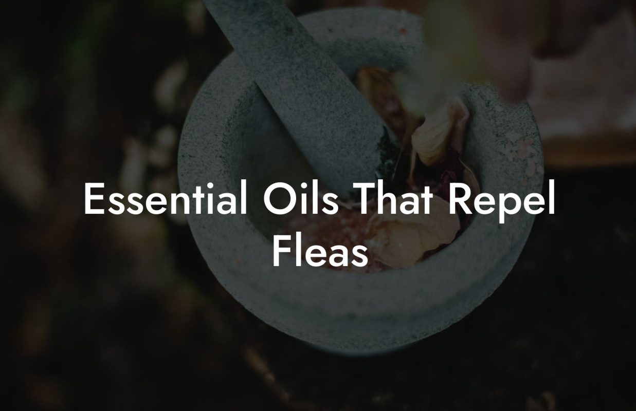 Essential Oils That Repel Fleas