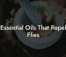 Essential Oils That Repel Flies