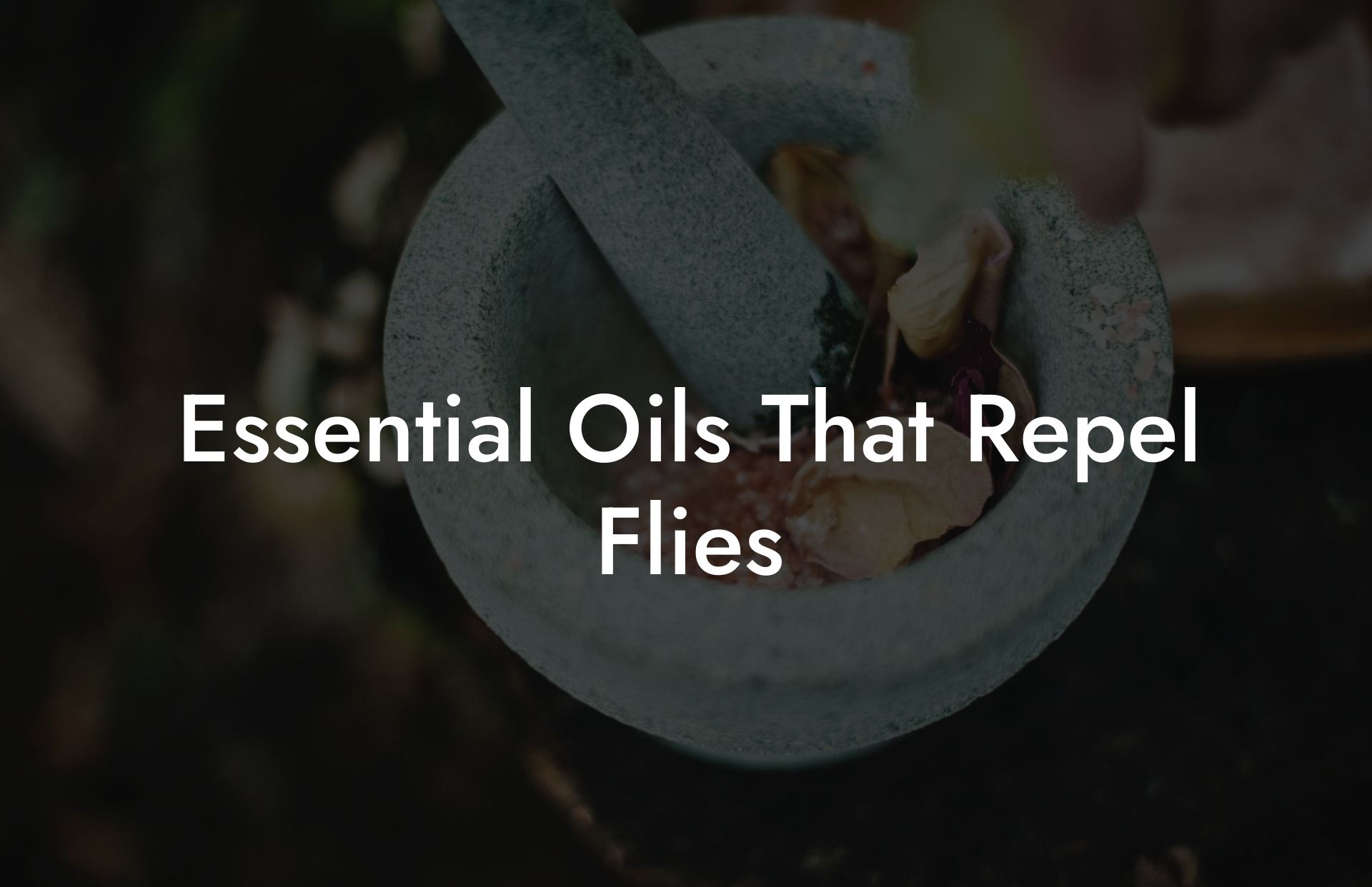 Essential Oils That Repel Flies