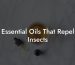 Essential Oils That Repel Insects