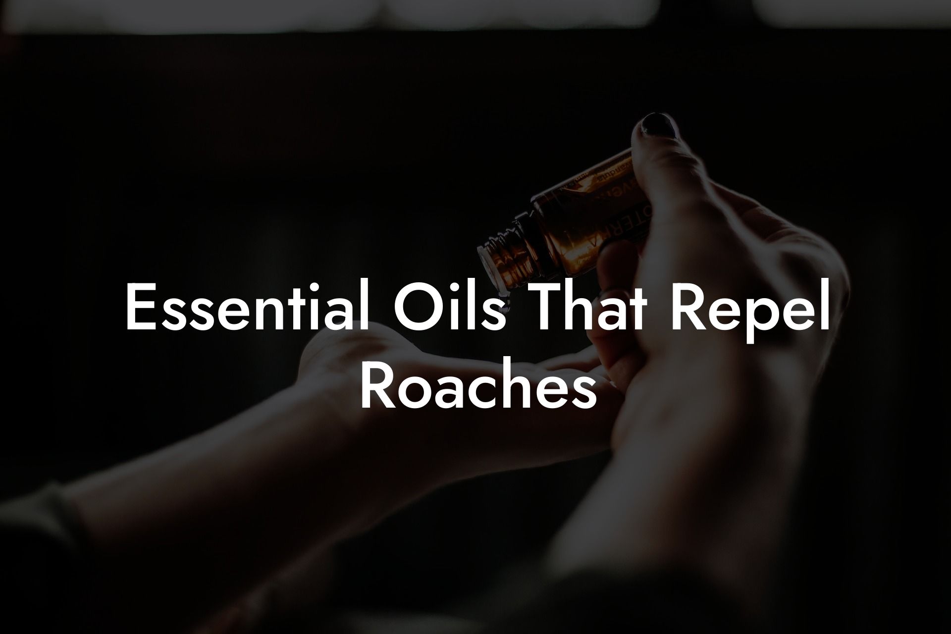 Essential Oils That Repel Roaches