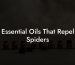 Essential Oils That Repel Spiders