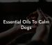 Essential Oils To Calm Dogs