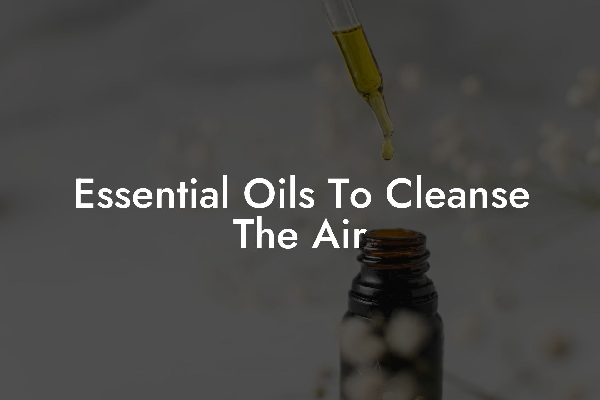 Essential Oils To Cleanse The Air