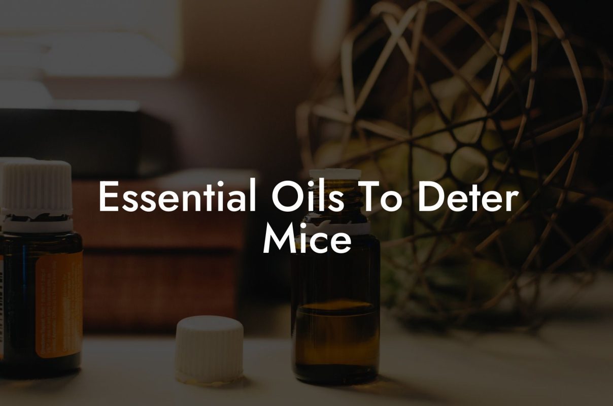 Essential Oils To Deter Mice