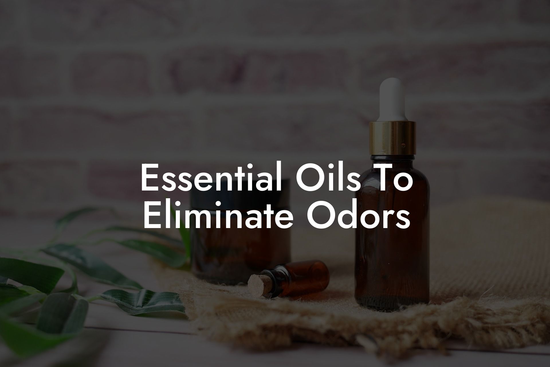 Essential Oils To Eliminate Odors