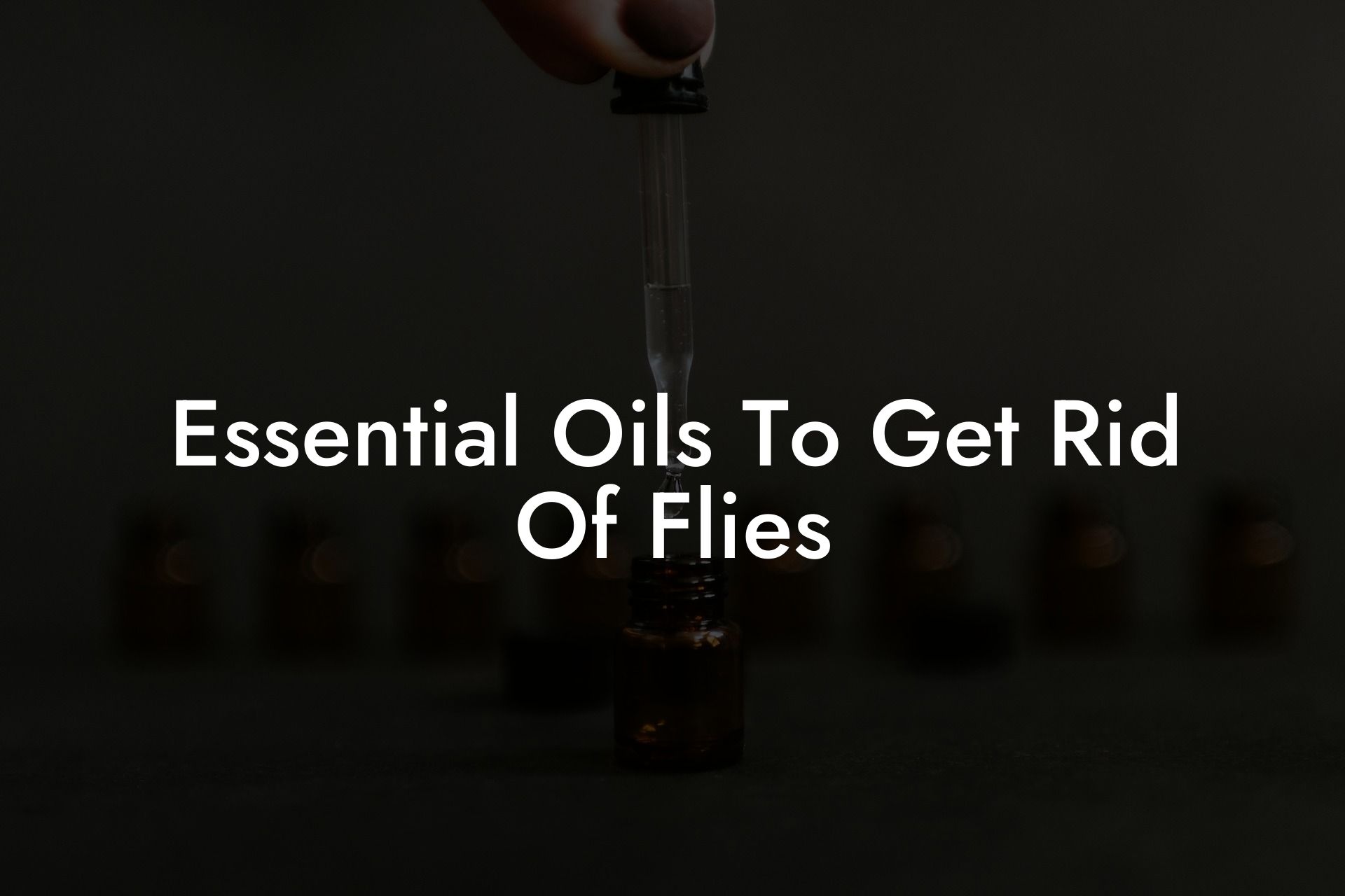 Essential Oils To Get Rid Of Flies