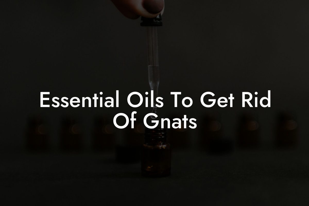 Essential Oils To Get Rid Of Gnats