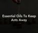 Essential Oils To Keep Ants Away