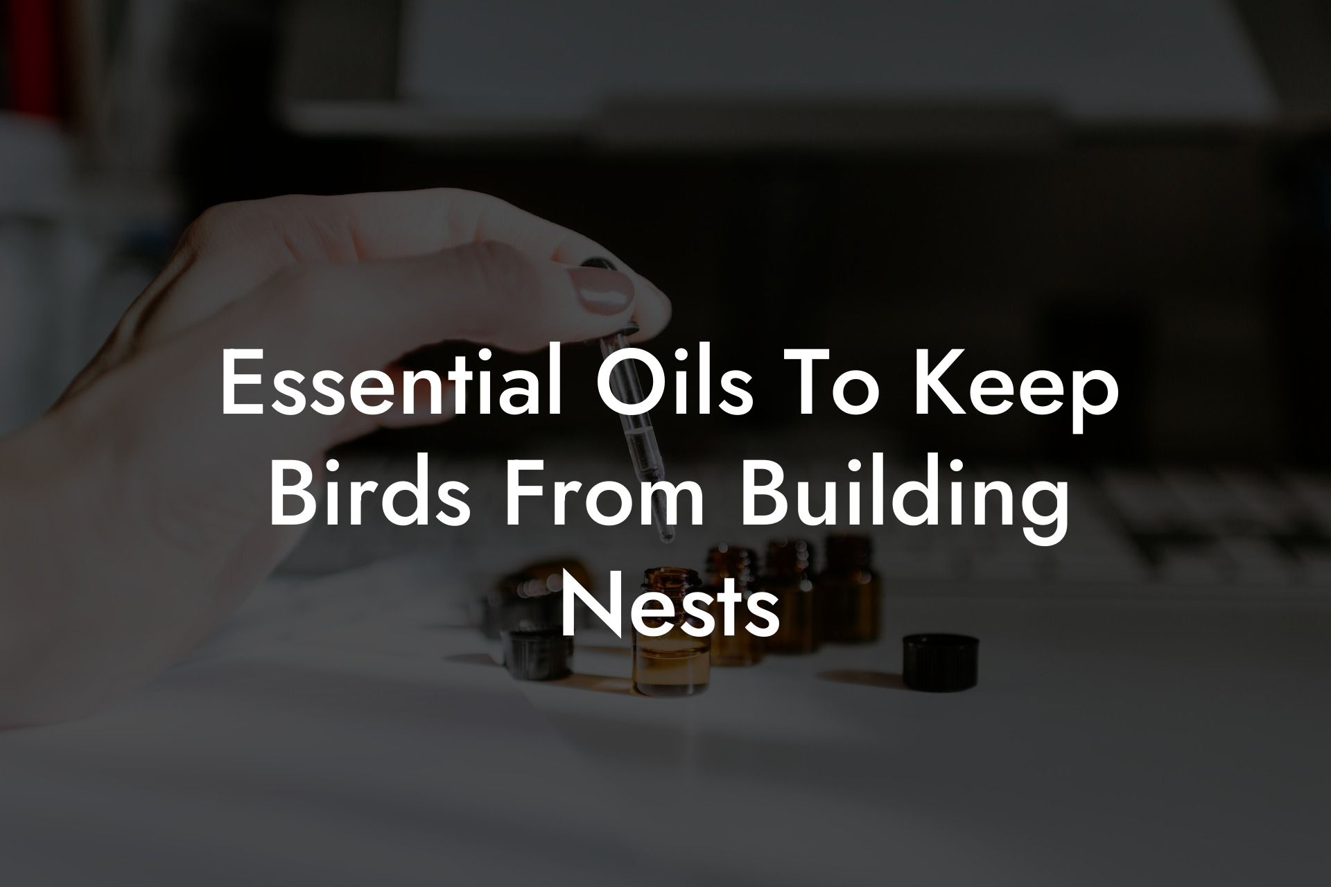 Essential Oils To Keep Birds From Building Nests