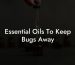 Essential Oils To Keep Bugs Away