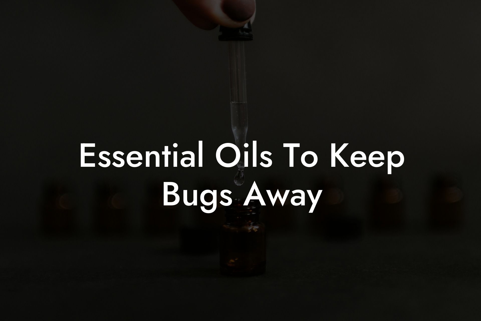 Essential Oils To Keep Bugs Away